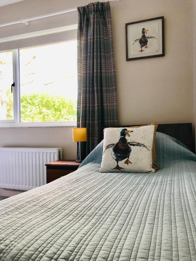 Eden Cottage Лисберн Экстерьер фото